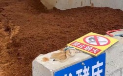 发酵床养猪法实用技术要点有哪些？