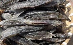 安徽泥鳅价格最新行情怎么样？