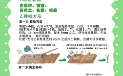 盆栽有机韭菜种植技术