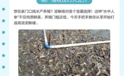 泥鳅养殖技术方法有哪些关键要点？