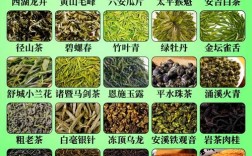 现在种植经济茶叶品种前景如何？