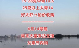 2025年龙虾价格会涨还是跌？