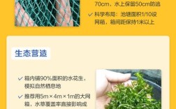 网箱养殖黄鳝技术书籍