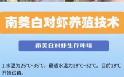 2025白对虾养殖技术，关键点与难点在哪？