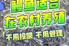 2025鳗苗价格会涨还是跌？