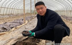 黑色地龙养殖技术视频，如何高效养殖？