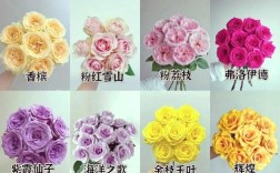 大红玫瑰品种有哪些？