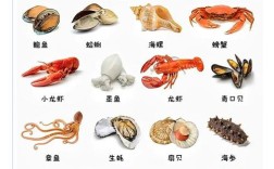 为何水产品种类如此繁多？