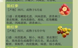 当前有哪些最新李子新品种？