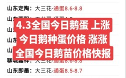 最新今日鸭蛋价格行情
