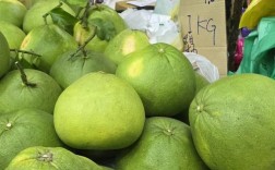 国外有哪些常见柚子品种？