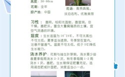 兰花种类繁多，养殖技术有何差异？