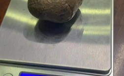 箭猪价格多少好销售吗