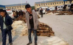 乐亭皮毛价格最新行情如何？