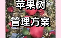 苹果树全年管理新技术有哪些要点？