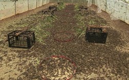 安徽蚂蝗养殖技术要点有哪些？