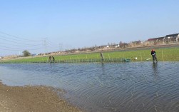 大闸蟹水泥池养殖技术难点有哪些？