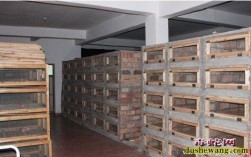 室内木箱养蛇视频，关键步骤有哪些？