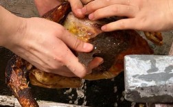 果渣煮熟喂猪，营养流失怎么办？