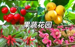 最新果树品种有哪些？