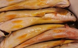 浙江淡水鱼品种有多少？