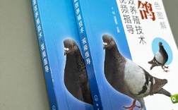 肉鸽养殖技术视频教程怎么学？