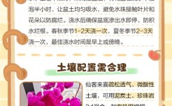 仙客来养殖技术有哪些关键点？