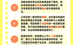 无公害蛋鸡饲养新技术有哪些要点？