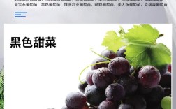 现在种什么葡萄价格好