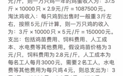 蛋雏鸡价格现在多少钱？