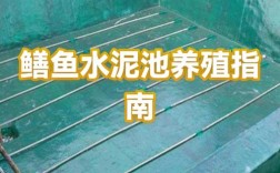 水泥池能养哪些水产？