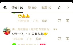 2025石金钱龟价格多少？行情如何？