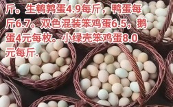 枣庄2025鸡蛋价格会涨还是跌？