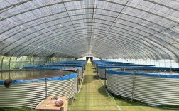 北方大棚淡水养鱼技术难点有哪些？