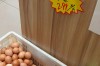 新乡鸡蛋今日价格多少钱一斤？