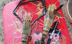 哪里能买到优良品种的罗氏虾？