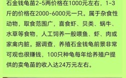 2025金钱龟幼苗价格会涨还是跌？