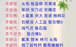 肉羊饲养管理规程有哪些关键技术要点？