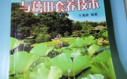 莲藕栽培与藕田套养技术