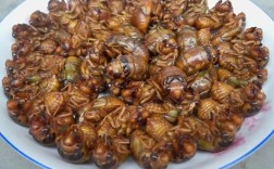 2025山东知了猴价格会涨还是跌？