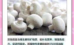 家庭如何轻松种植双孢菇？