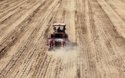 高粱玉米种植视频，关键技术有哪些？