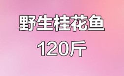 2025合肥桂鱼价格会涨还是跌？