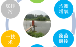 中国水产养殖技术有哪些新突破？