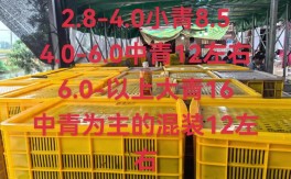 2025年重庆小龙虾价格会涨还是跌？