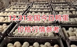 福建今日鸭蛋价格多少？