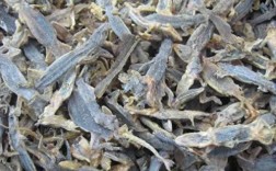 福州湖北壁虎养殖技术有何独特之处？