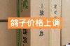 2025年肉鸽价格会涨还是跌？