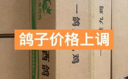 2025年肉鸽价格会涨还是跌？