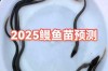 2025年鳗鱼苗价格会涨还是跌？